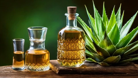 Mejor Mezcal